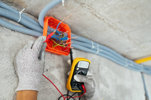 Best Electric Panel Repair  in Texas City, TX